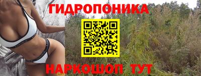 гидра Абинск