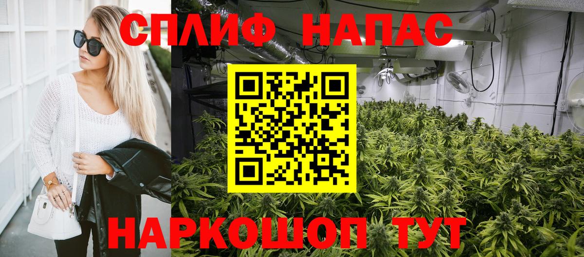 Бошки марихуана конопля Александров